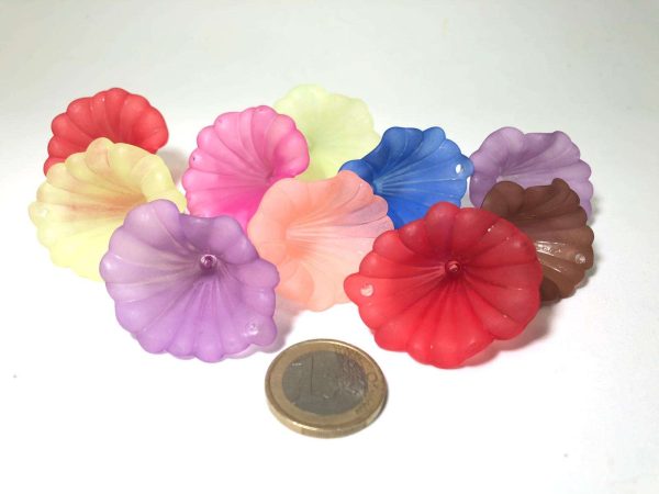 Flor de acacia
